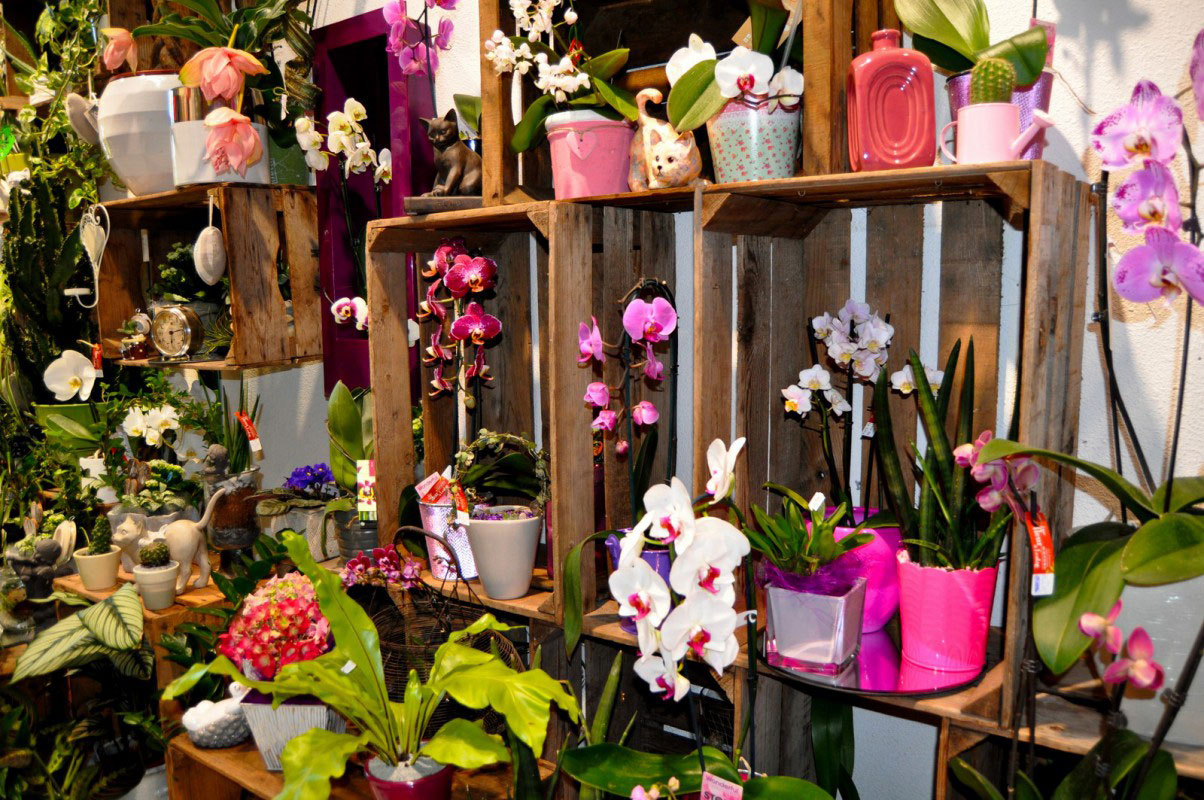 Photo fleuriste d'une fleur à l'autre à chamnord